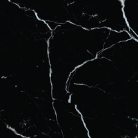 Gres polerowany Ainara black 60 x 60 cm EGEN gat. I