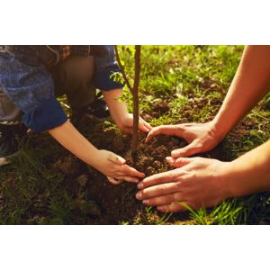 jak-przygotowac-ogrod-na-wiosne-sianie