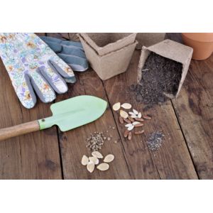 jak-przygotowac-ogrod-na-wiosne-nasiona