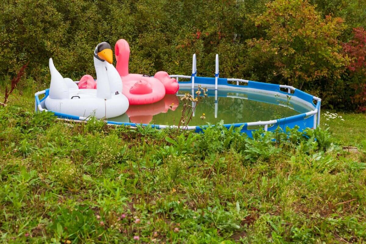 basen ogrodowy z dmuchanymi zabawkami w środku