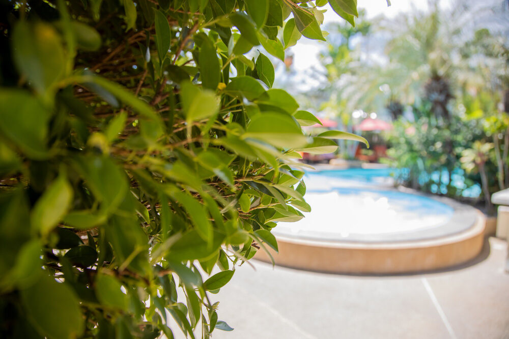 aranżacja basenu ogrodowego