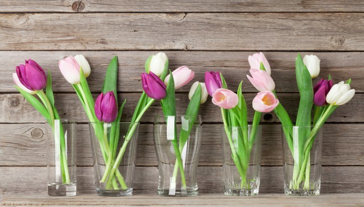 Kwiaty - ekologiczna ozdoba na Wielkanoc