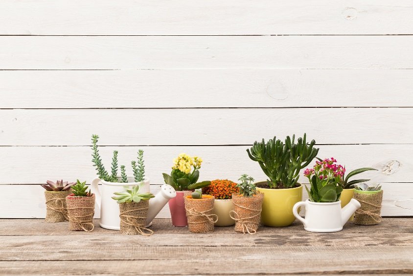 Pomysł na sprawdzony prezent wnętrzarski