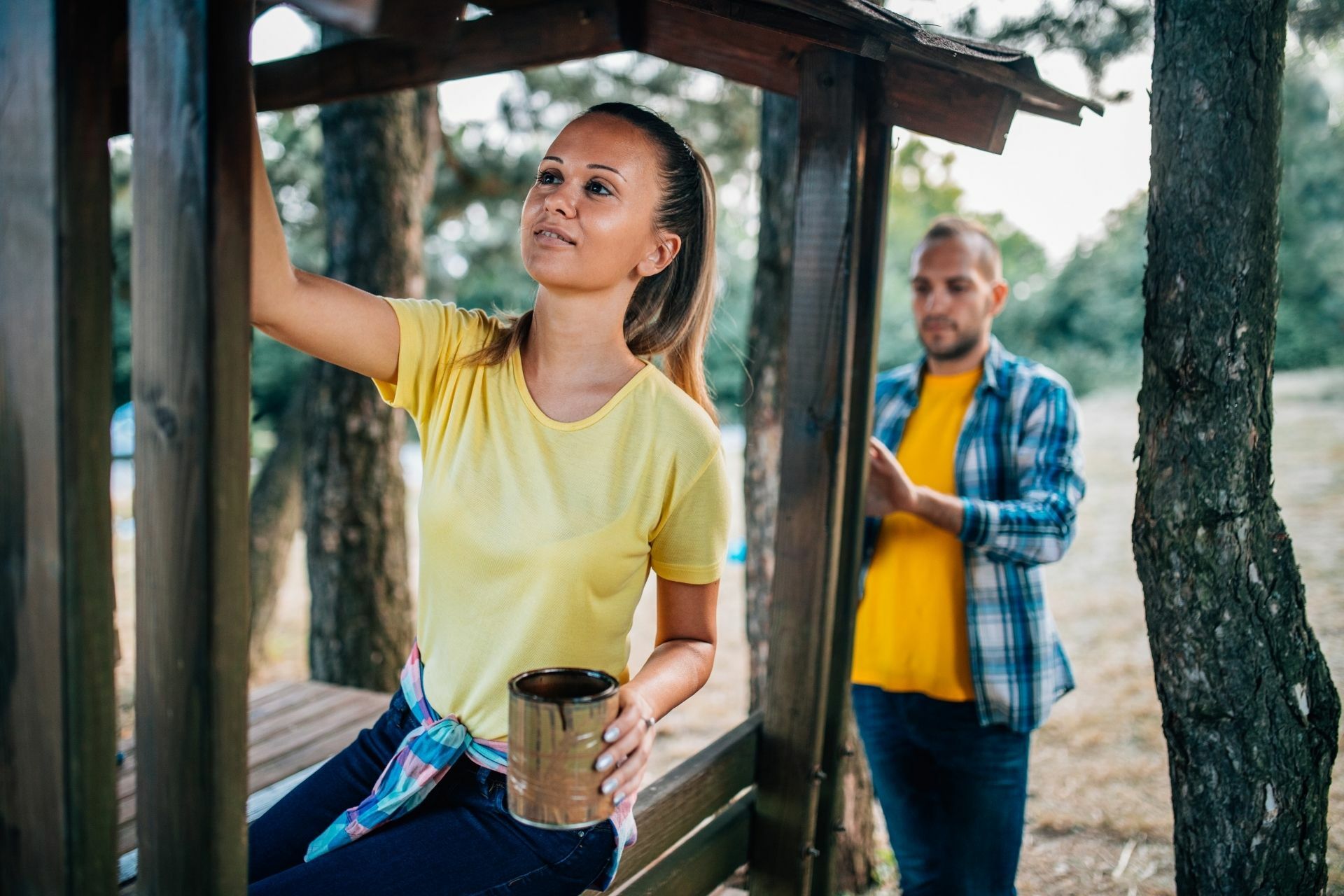 impregnaty i lakiery do drewna