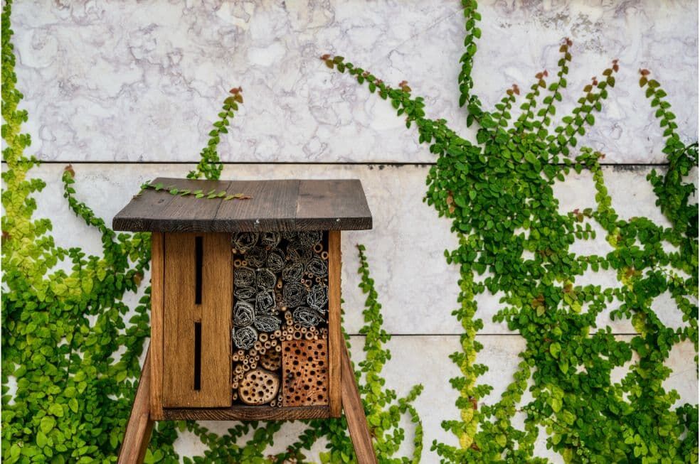 hotel dla owadów pożytecznych na tle ściany z betonu i roślin