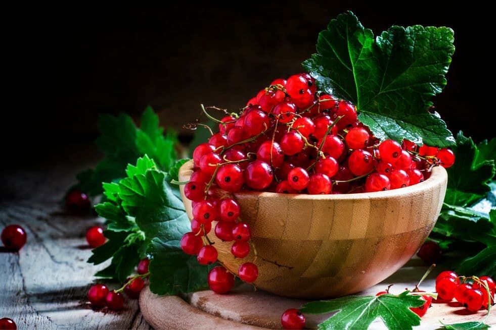 kiedy przycinać porzeczki