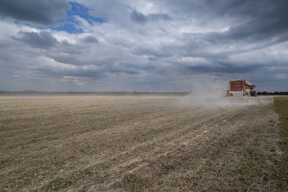 wapnowanie gleby jakie warzywa