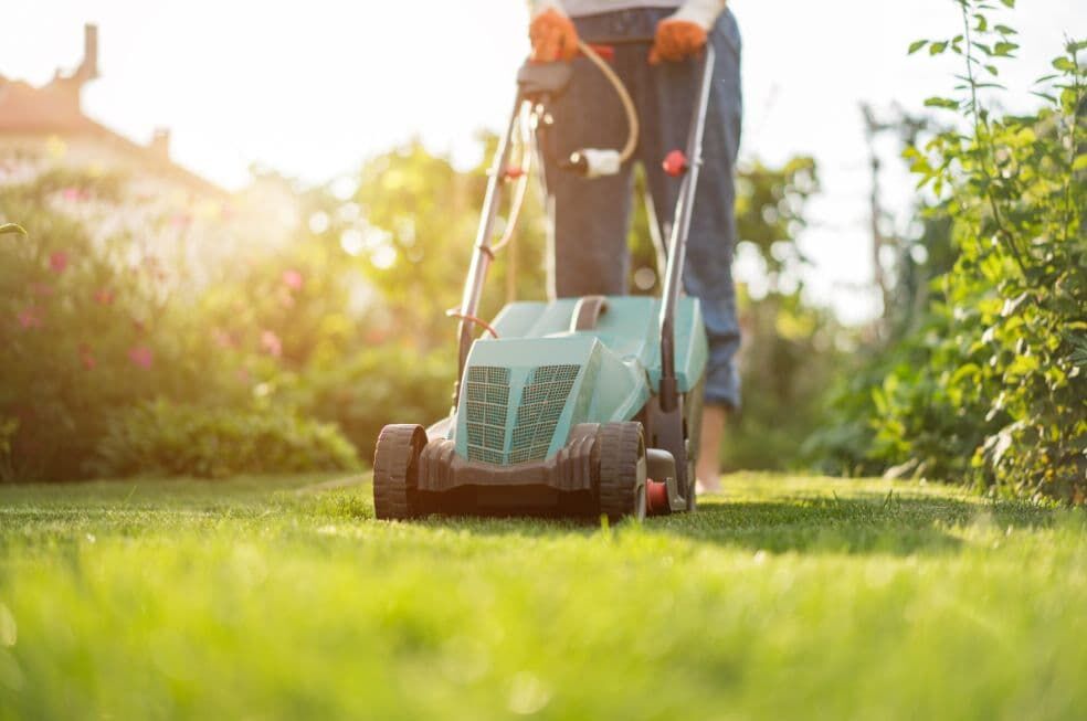 koszenie trawnika