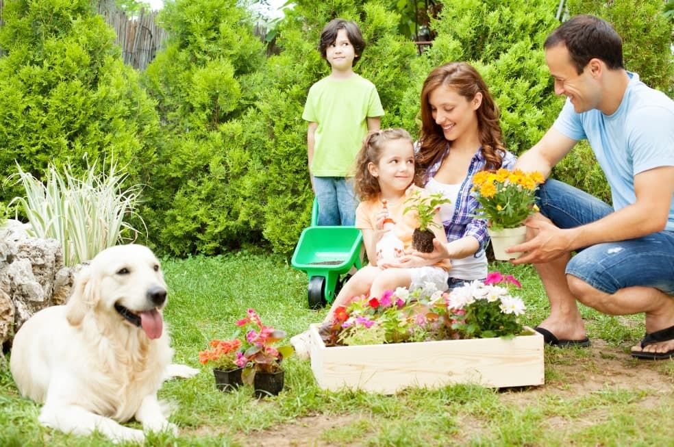 rodzina z psem w ogródku