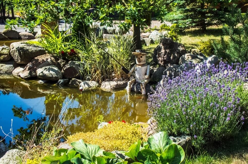oczko wodne w ogrodzie