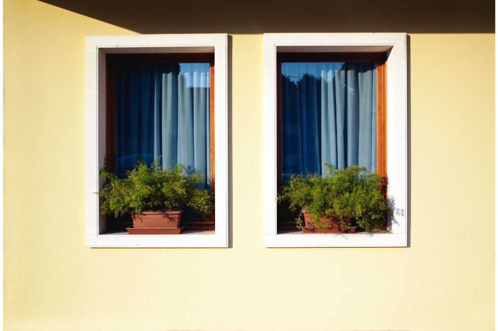 okna od wewnętrznej strony z kwiatami na parapecie