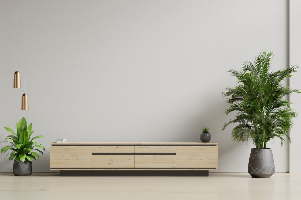 szafka pod telewizor z egzotycznymi kwiatami w donicy po bokach