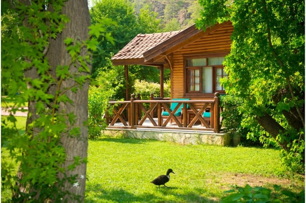 kawałek domku letniskowego z drewna w lesie