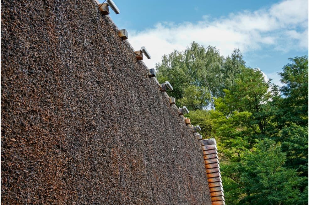 ściana tężni solankowej