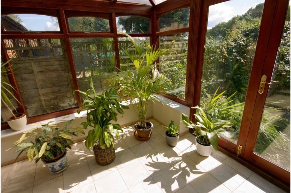 rośliny doniczkowe w ogródku zimowym