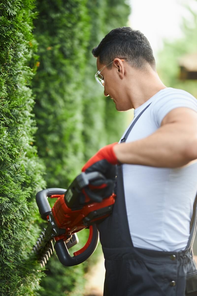 Narzędzia akumulatorowe jak wybrać nożyce do żywopłotu