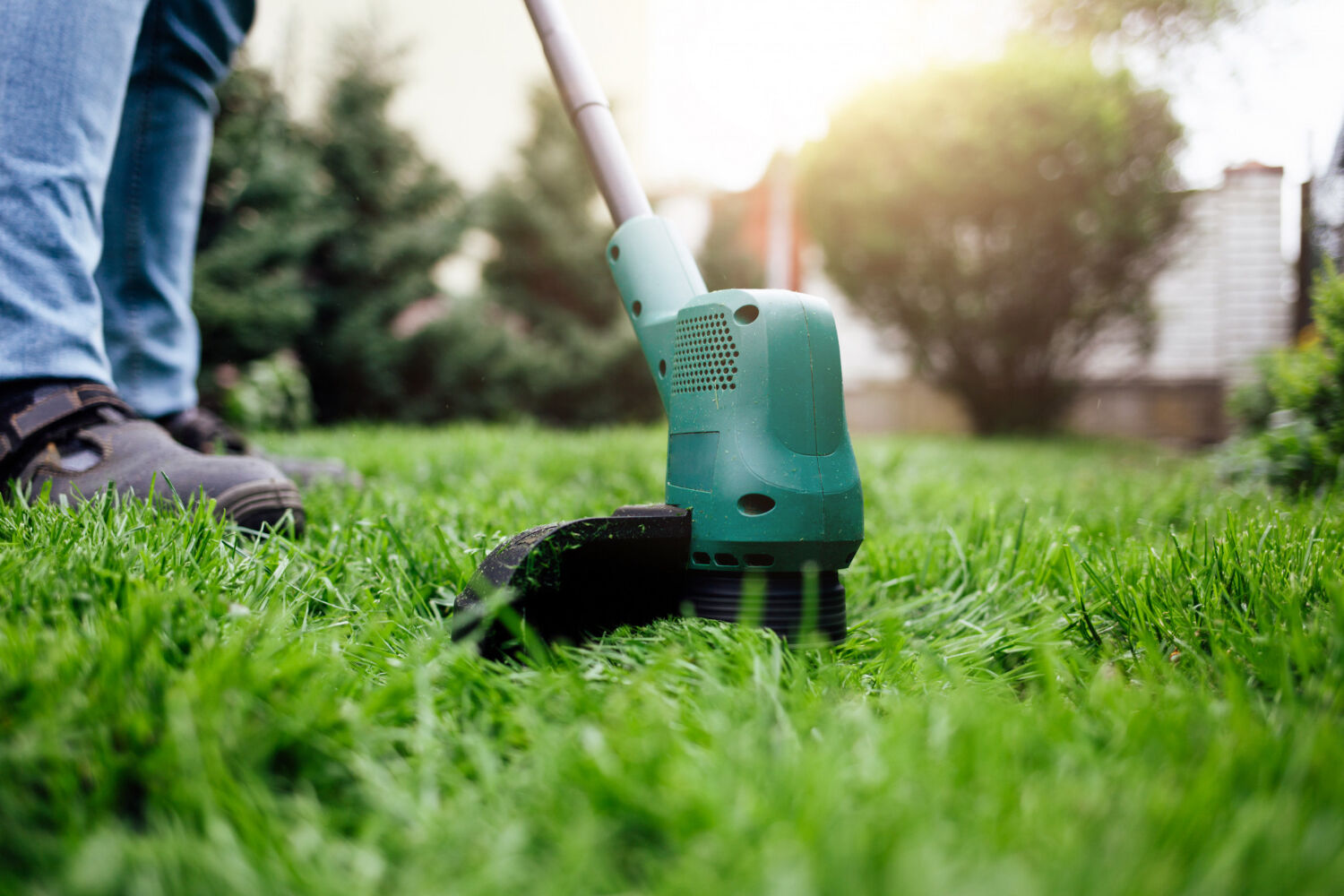 pielęgnacja trawnika jesienią